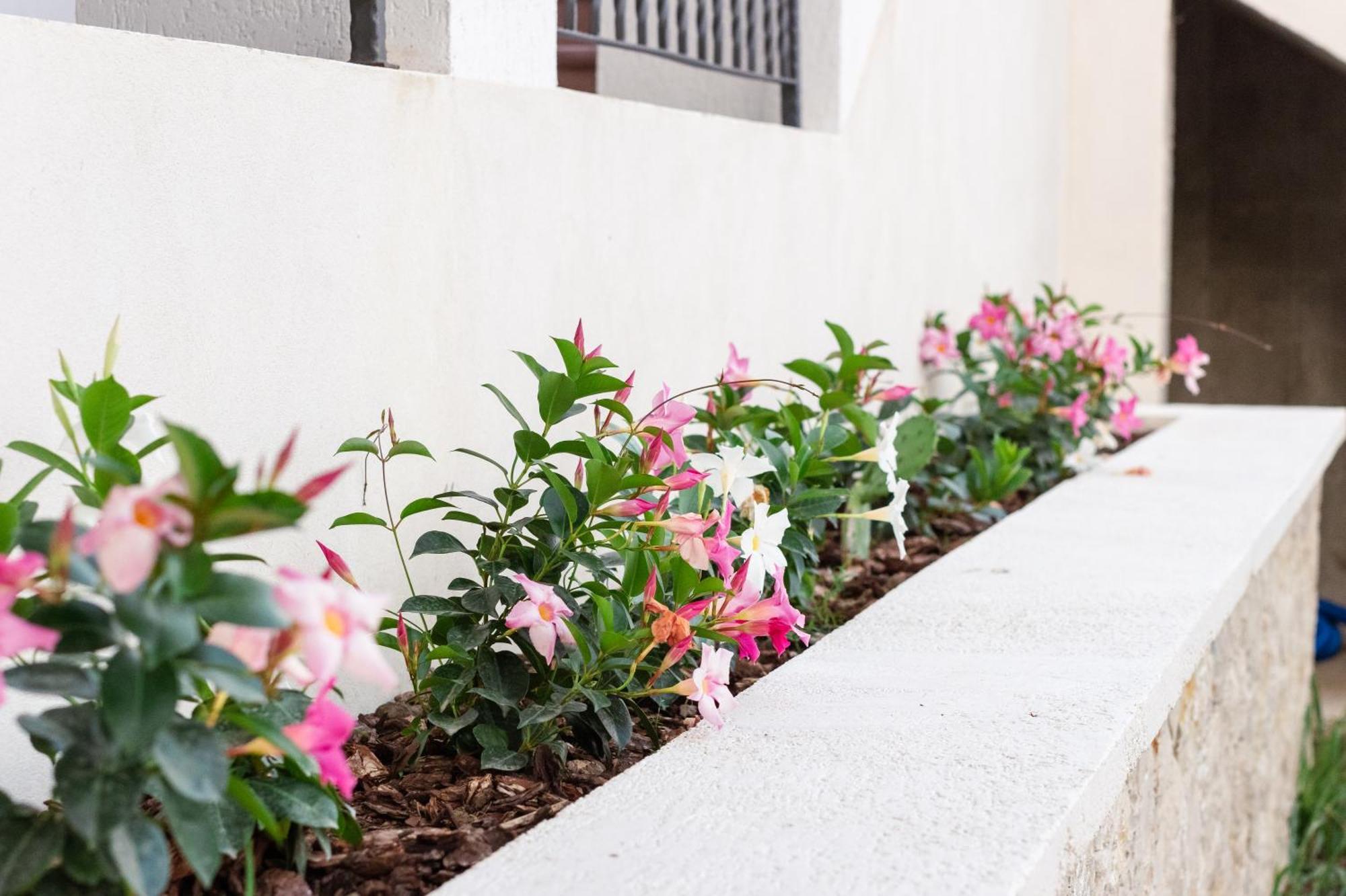 Apartments Kan Ulcinj Exterior foto